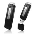 Záznamník zvuku v USB 8Gb - zvuková detekce F