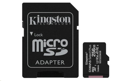 Paměťová karta microSDXC 256GB class 10